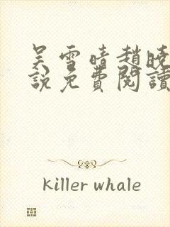 吴雪晴赵晓东小说免费阅读