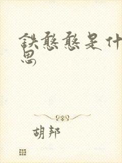 铁憨憨是什么意思