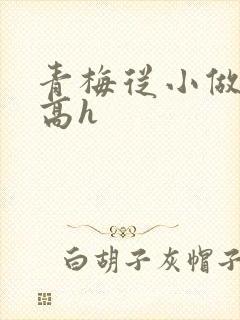 青梅从小做到大高h