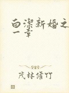 白洁新婚之夜第一章