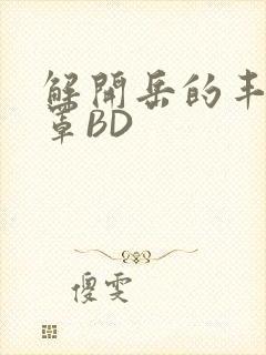 解开岳的丰满奶罩BD