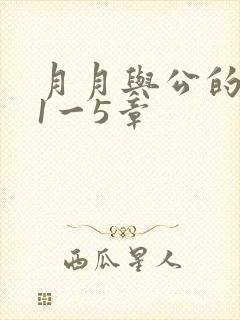 月月与公的激情1一5章