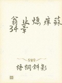 翁止熄痒苏钥第34章
