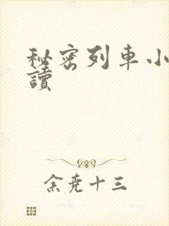 秘密列车小说阅读