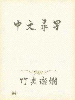 中文寻星
