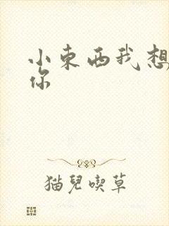 小东西我想弄坏你