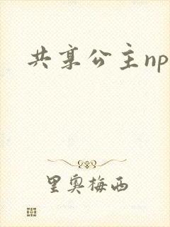 共享公主npc