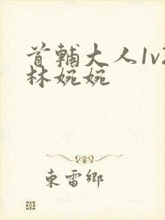 首辅大人1v2林婉婉