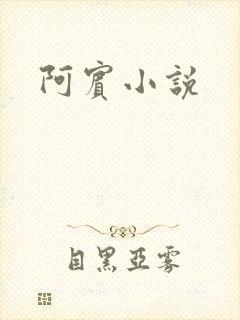 阿宾小说