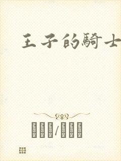 王子的骑士小说