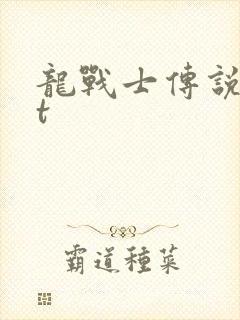 龙战士传说txt