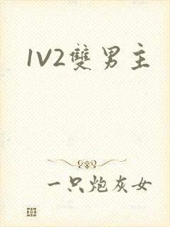 1V2双男主