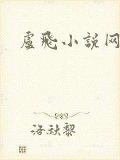 卢飞小说网