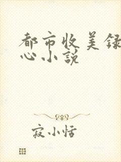 都市收美录宁素心小说