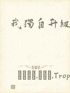 我独自升级小说