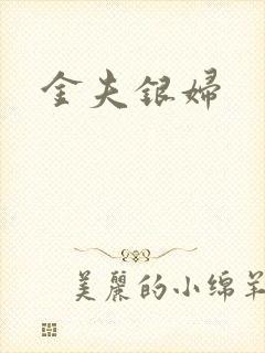金夫银妇