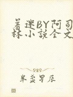 着迷BY阿司匹林小说全文免费阅读