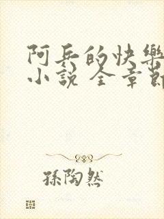 阿兵的快乐生活小说 全章节阅读免费