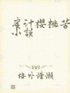 蜜汁樱桃苦咖啡小说