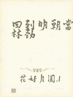 回到明朝当王爷林劲