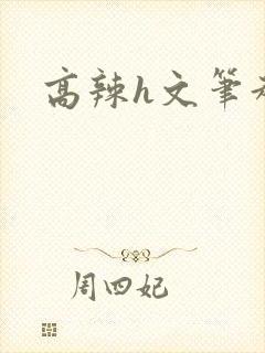 高辣h文笔趣阁