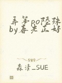 弄筝po陆殊词by春光正好