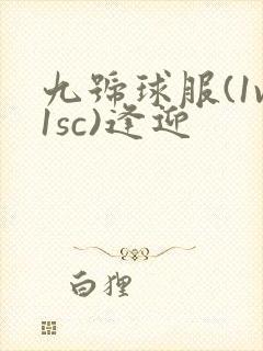 九号球服(1v1sc)逢迎