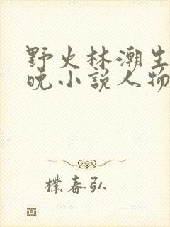 野火林潮生林晚晚小说人物野火