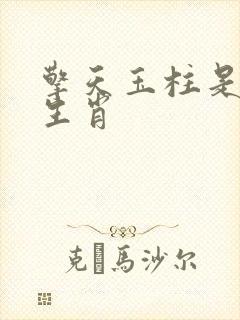 擎天玉柱是什么生肖