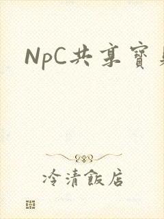 NpC共享宝贝