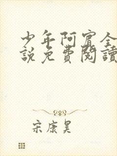 少年阿宾全文小说免费阅读笔趣阁