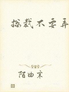 总裁不要弄疼我