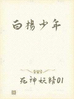 白杨少年