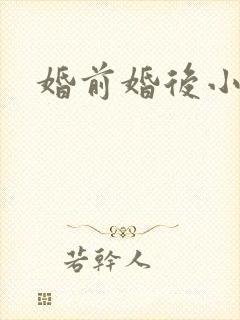 婚前婚后小说