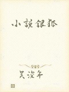 小说银狐
