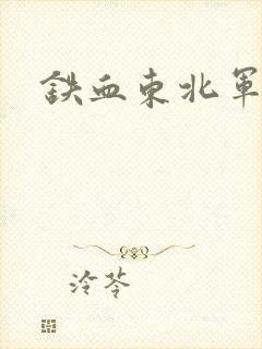 铁血东北军
