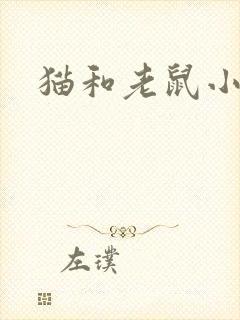 猫和老鼠小说