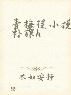 青梅从小摸到大补课h