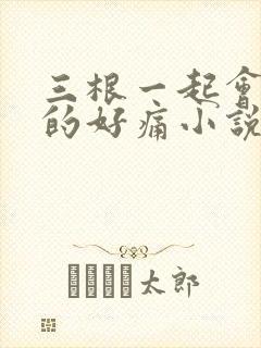 三根一起会坏掉的好痛小说