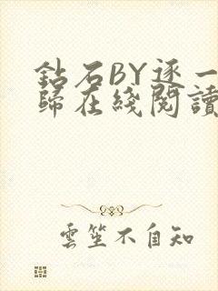 钻石BY逐一而归在线阅读