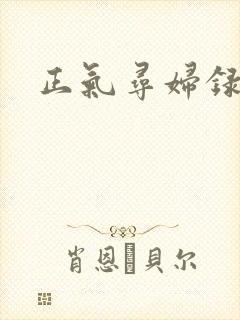 正气寻妇录
