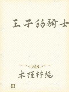 王子的骑士