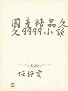 国产精品久久久久9999小说