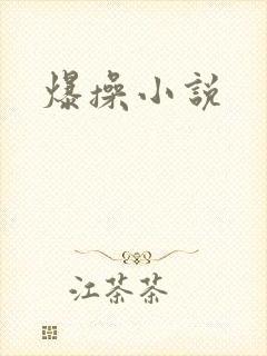 爆操小说
