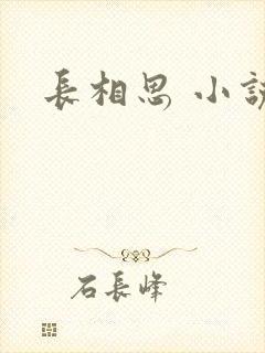 长相思 小说