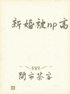 新婚被np高h