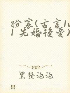 盼寡(古言1v1 先婚后爱)