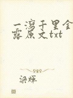 一泻千里金银花露原文txt