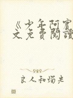 《少年阿宾》全文免费阅读