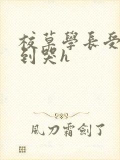 校草学长受被做到哭h